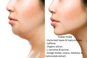 Thành phần của liệu trình điều trị Mesotherapy vùng nọng cằm